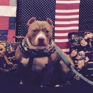 Meet your Posher, Debbie